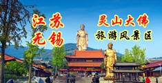 jj插入小穴视频免费的日本江苏无锡灵山大佛旅游风景区