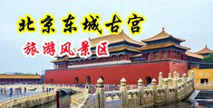 欧美白嫩大胸巨屌中国北京-东城古宫旅游风景区